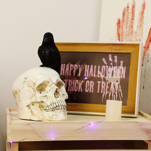 DR.DUDU Raven on Skull Halloween Decoration with LED Lights, Gothic Crow Perching on Skeleton Resin Figurine Haunted House Statue for Tabletop Desk Home Office Decor
