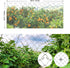 boknight Bird Netting for Garden, 25 X 50 feet Net Netting for Bird Poultry Aviary Heavy Duty Chicken Netting with Ropes& Cable Ties, 2.4 inch Square Mesh Size (25' x 50'-2.4'')