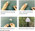 Raising Witt Solar Mushroom Fairy String Lights 20Led Outdoor Waterproof 16Feet 8Modes Solar Powered In Ground Lights Decoration for Garden Patio Yard Landscape Lawn Path Wedding Party Christmas(warm)