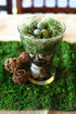 BYHER Dried Moss Table Runner for Party Garden Decoration, Dark Green