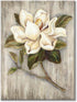 UTOP-art Flower Canvas Print Wall Art: Blossom Floral Picture Artwork on Canvas for Kitchen Dining Room Bedroom Bathroom Decor