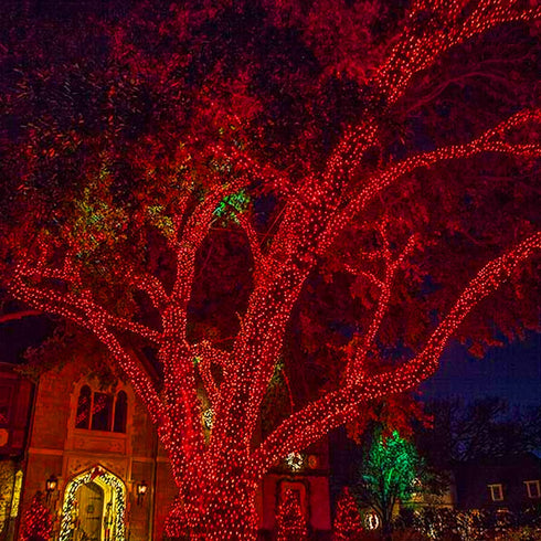 Funpeny 300 LED Valentine's Day String Lights, 100 FT Plug in Connectable Waterproof Fairy String Lights Green Wire with 8 Modes for Indoor Outdoor Xmas Tree Home Garden Decorations (Red)