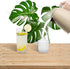 REALWAY Unbreakable Plastic Drinking Tumblers,Reusable Plastic Cups,Clear Plastic Tumblers,Acrylic Glasses,Dishwasher Safe,Set of 6 (12oz & 17oz)