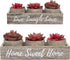 3 Red Decor Fake Plant Decor Succulents Plants Artificial for Office Decor Grey - Faux Succulents in Pots Cute Desk Decor Women - Small Fake Plants Bedroom Aesthetic Accessories - Potted Mini Cactus