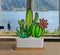Suncatcher Stained Glass Style Cactus Plants Agave, Barrel, and Saguaro Cactus Ornamental Houseplant Decorations Handmade Succulent Plant Ornaments for Windowsill Balcony Kitchen Patio (Style 1)