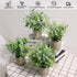 Blingstar Fake Plants 4 Pack Small Artificial Plants Mini Faux Eucalyptus Boxwood Greenery in Pots Little Potted Plant Decor for Bathroom Shelf Home Office Desk Table Centerpiece