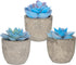 Set of 3 Succulents Plants Artificial Plants Home Decor Indoor Fake Plants Bedroom Aesthetic, Small Fake Plants Living Room Decor Office Desk Decor Women Fake Plant Decor Bathroom Shelf Decor