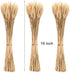 yarlung 300 Stems 16 Inch Dried Wheat Sheaves, Natural Wheat Stalks Bundle Fall Arrangement for DIY Craft, Home Table, Wedding