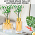 Diffuser Glass Bottles Set of 5 DIY Empty Clear Glass Fragrance Bottle with Gold Caps Reeds Sticks Vase Decorative Oil Diffusers for Home Office Desk Decoration Wedding Replacement Girl Women Gift