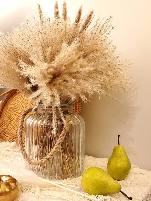 100 pcs Fluffy Pampas Grass Reeds Dried Flower, 17" Tall Not Sparse Natural Plant for Boho Wedding Bouquet Arrangement, Rustic Floral Home Decoration, Vase Filler for Living Room Decor for All Seasons