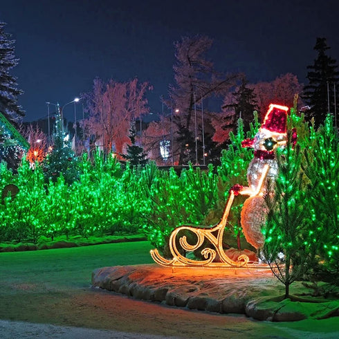 JMEXSUSS 2 Pack Green Solar Lights 200LED 75.5ft St Patrick's Day Lights with 8 Lighting Modes Solar String Lights Outdoor Waterproof for Garden, Christmas, Halloween, St Patricks Day Decorations