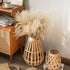 Dried Pampas Grass Decor Vase Home Design Arrangements,Natural Pompous Grass Plants Fluffy Artificial Faux Reed Flower Stems Bunch for Wedding Door Wreath Boho Living Room Decoration (100PCs Reed)
