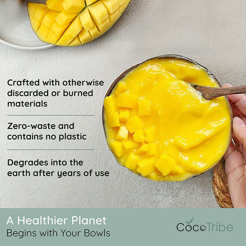 Coconut Bowls with Spoons & Stands - Set of 4 Coconut Shell Bowls + Wooden Spoons & No-Wobble Holders for Serving a Smoothie, Acai Bowl, or Salad - Eco Friendly & Handmade by CocoTribe, Holds 18 Oz