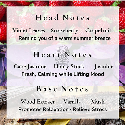 Inspired by Ritz-Carlton Hotel Reed Diffuser for Home | Fresh Strawberry, Vanilla, Musk Oil Reed Diffuser & Reed Diffuser Sticks| Essential Oil Reed Diffuser Set | Office Decor Fragrance Diffuser Reed