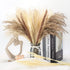 Natural Dried Pampas Grass Boho Home Decor, 65Pcs 17Inch Dried Flower Bouquet Decorative Pampas Grass for Vase Filler, Flower Arrangements, Wedding Office Decor Fluffy and Soft