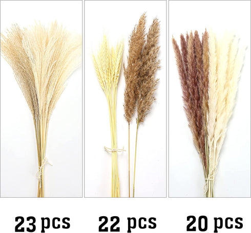 Natural Dried Pampas Grass Boho Home Decor, 65Pcs 17Inch Dried Flower Bouquet Decorative Pampas Grass for Vase Filler, Flower Arrangements, Wedding Office Decor Fluffy and Soft