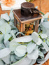 Miracliy Eucalyptus Garland, 6.2ft Artificial Lambs Ear Greenery Vine with Willow Leaves for Wedding Backdrop Table Runner Mantle Party Home Decor