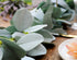 Miracliy Eucalyptus Garland, 6.2ft Artificial Lambs Ear Greenery Vine with Willow Leaves for Wedding Backdrop Table Runner Mantle Party Home Decor
