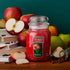 Yankee Candle Large Jar Candle Macintosh