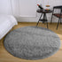 Chicrug Fluffy Round Area Rugs for Girls Bedroom, 4x4 Feet Shaggy Circle Area Rug for Living Room, Soft Fuzzy Carpets for Princess Room, Cute Rug Kids Circular Playmats for Baby Nursery Home, Grey
