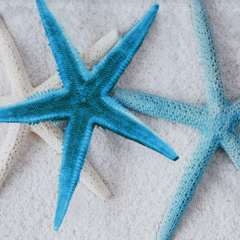 Nautical Shower Curtain, Marine Sail Boat Beach Starfish Shell Sea Life Shower Curtain with 12 Hooks, Waterproof Shower Curtain (White Blue #1, 70" L — 69" W)