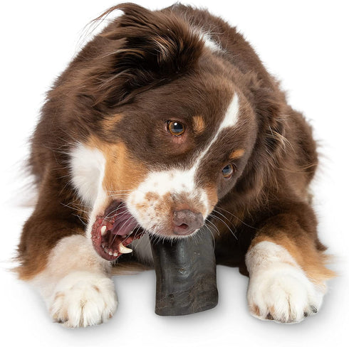 Natural Water Buffalo Tuffie Horns - Pure Grass Fed Buffalo | Dog Bones for Aggressive Chewers | Puppy Teething Chew | Puppy Supplies | Dog Treats | Dog Bones for Large Dogs