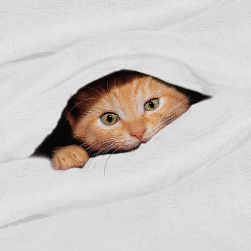 Utopia Bedding Fleece Blanket Queen Size White 300GSM Luxury Fuzzy Soft Anti-Static Microfiber Bed Blanket