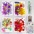 AINAZ 154 Pcs Natural Dried Pressed Flowers for Resin Molds with Butterfly Stickers, Colorful Stones, and Tweezer for DIY Resin Crafts, Jewelry & Candle Making Nails Art