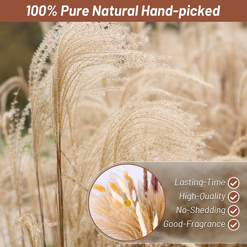 Mckanti Dried Pampas Grass, 80 Pcs Natural Pampas Grass, with 6 Colors DIY 17.7" Pampas Grass Dried Flowers, Boho Home Wedding Party Decor.