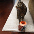 CLAWGUARD Protection Tape - Durable Single-Sided Shield Protection Barrier Against Cat, Dog, Bird, Rabbit Scratching and Clawing Furniture, Couch, Window Sill, Car Door, Glass and More!