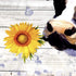 ECOTOB Get Naked Cow Shower Curtain, Funny Farmhouse Cow with Sunflower Yellow Duck in Bubble Bathtub Shower Curtain Decor Cute Cattle Pattern on Rustic Wood Fabric Bath Curtain with Hooks, 72X72 inch