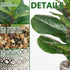 SenseYo Artificial Fiddle Leaf Fig Tree 18" Faux Ficus Lyrata in Pot Natural Fake Tree with 13 Leaves Lifelike Greenery Plant Tree Indoor Outdoor Decor for House Home Office Perfect Housewarming Gift