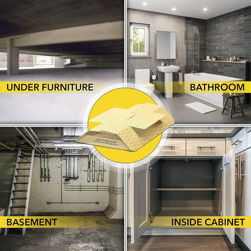 Harris Roach Glue Traps, Pesticide Free (2-Pack)