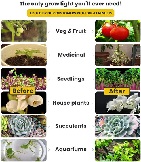 Haus Bright LED Grow Light Bulb - for Indoor Plants Full Spectrum Lamp | Seed Starting, House, Garden, Vegetable, Succulent, Hydroponic, Greenhouse Growing | 100W E27 (Original)