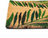 Tropical Green Palm Welcome Mat, Natural Coir Doormat (30 x 17.2 x 0.5 in)