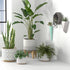 Amazon Brand Rivet Geometric Ceramic Planter Pot, 4.1"H, Grey
