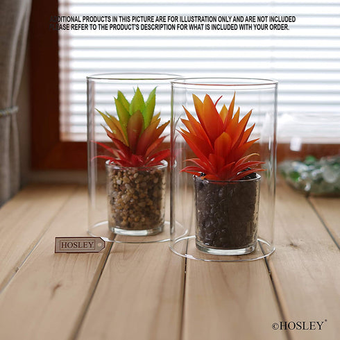Hosley Set of 2- 7 Inch High Clear Glass Hurricane Candle Holder or Sleeve. Wonderful Accent Piece for Coffee or Side Tables. Ideal Gift for Weddings Home and Events. O9