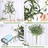 Miracliy 6 PCS Artificial Olive Stems with Fruit Real Touch Artificial Olive Branches Greenery Stems for Vase Home Indoor Outdoor Balcony Decoration