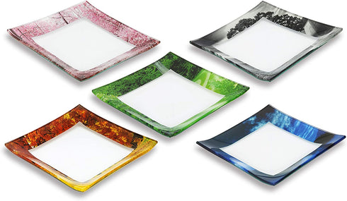 GAC Unique Landscape Design Square Tempered Glass Dessert Plates 6 Inch Set of 5 Break and Chip Resistant Attractive Multi-Colored Salad Plate Set