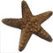 roro Handcarved Nautical Coastal Wood Starfish Wall Hanging Decor or Ornament, Natural Brown