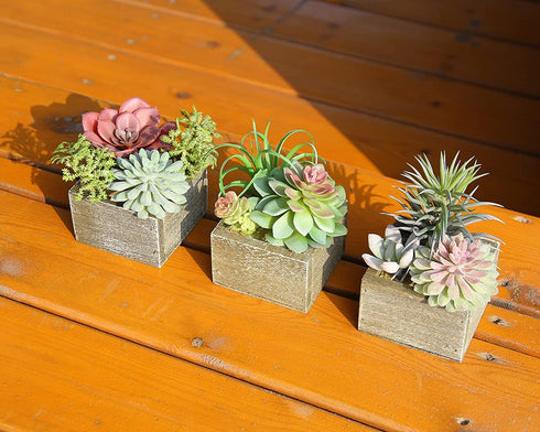 Mingfuxin Artificial Succulents Plants, Mini Assorted Green Faux Succulents in Pots, Small Succulents Plants Artificial with Wood Potted for Home Office Living Room Table Desk Plants Decor, Set of 3