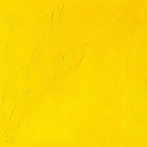 Winsor & Newton 1414113 Winton Oil Color Paint, 37-ml Tube, Cadmium Yellow Light