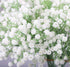 Homcomoda 24 PCs Baby Breath Artificial Flowers Gypsophila Real Touch Flowers for Wedding Party Home Garden Decoration