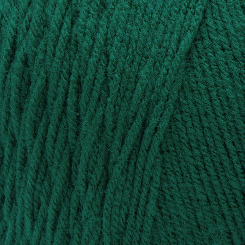 RED HEART Super Saver Jumbo Yarn, Paddy Green