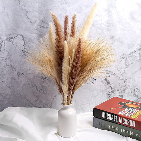 TOPHOOD 60 Pcs Dried Pampas Grass Decor -19inch Natural Pompas Floral/ Pompous for Flower Arrangements Wedding Home Decor(15 White & 15 Brown Grass& 30 Reed