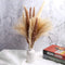 TOPHOOD 60 Pcs Dried Pampas Grass Decor -19inch Natural Pompas Floral/ Pompous for Flower Arrangements Wedding Home Decor(15 White & 15 Brown Grass& 30 Reed