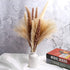 TOPHOOD 60 Pcs Dried Pampas Grass Decor -19inch Natural Pompas Floral/ Pompous for Flower Arrangements Wedding Home Decor(15 White & 15 Brown Grass& 30 Reed