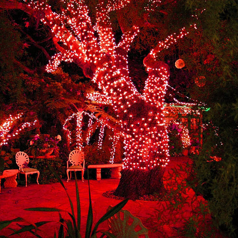 JMEXSUSS 2 Pack 100 LED Red Solar Lights Outdoor,42.7ft Solar String Lights, 8 Modes Solar Christmas Lights Outdoor Waterproof for Christmas Tree,Halloween,Party Decorations