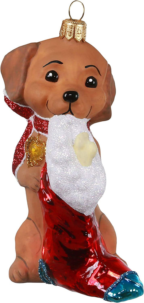 Hallmark Keepsake Christmas Ornament 2020, Adorable Dachshund, Blown Glass