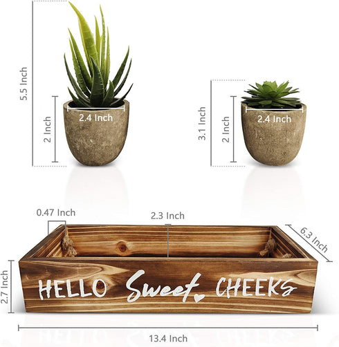 Nice Butt Bathroom Decor Box & Artificial Plants (Bundle): 2 Funny Sayings, Hello Sweet Cheeks Bathroom Box, Bathroom Organizer, Toilet Paper Holder, Farmhouse Decor, 2 Plants Included, Brown